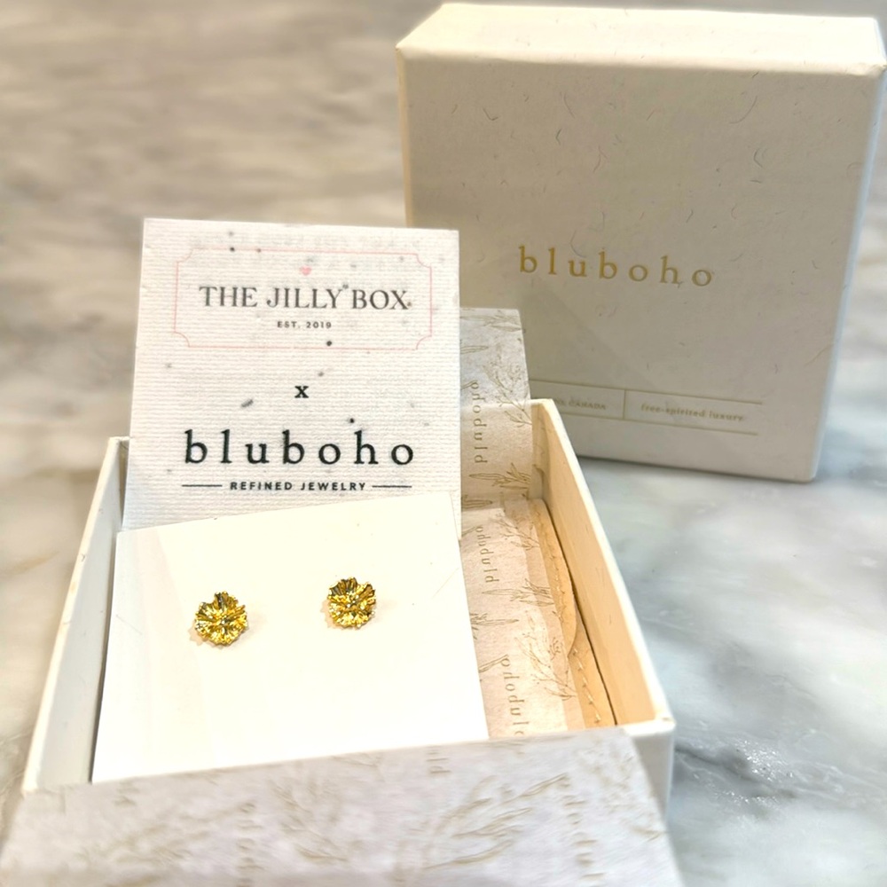 Jilly Box x Bluboho: Little Wildflower Earrings
Only opened never worn.